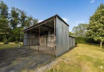 453351-Vorschaubild4