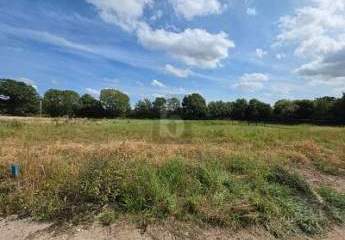 451618-Vorschaubild4