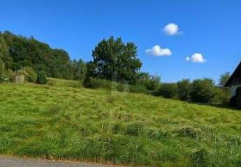 454354-Vorschaubild3