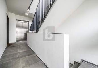 455936-Vorschaubild2