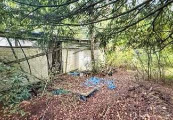 453969-Vorschaubild2