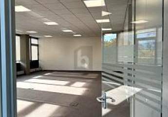 450747-Vorschaubild4