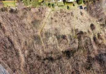 451438-Vorschaubild3