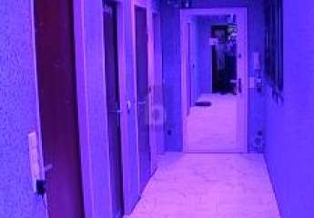 453859-Vorschaubild4