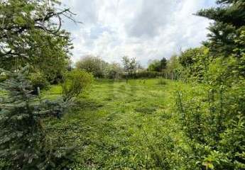 453860-Vorschaubild3