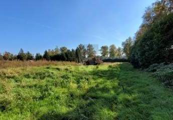 TRAUMHAFTE RUHE, PERFEKTE RÜCKZUGSOASE