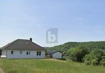 456130-Vorschaubild3