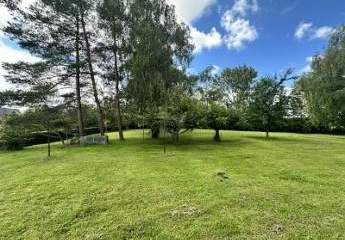 451724-Vorschaubild2