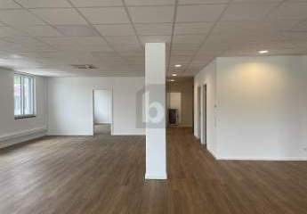 453835-Vorschaubild4