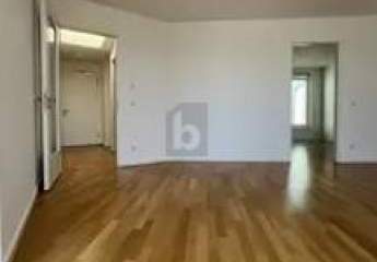 451623-Vorschaubild3