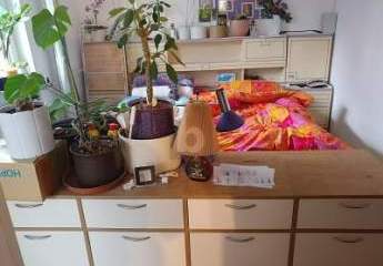 453859-Vorschaubild4