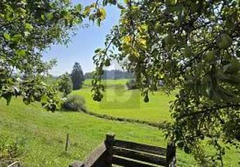 457008-Vorschaubild3