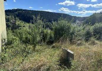 456794-Vorschaubild3