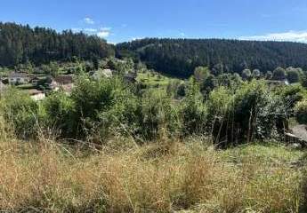 456794-Vorschaubild4