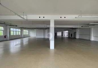 456805-Vorschaubild2