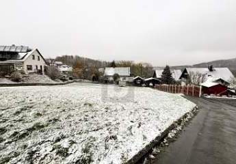 456811-Vorschaubild2