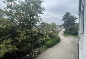 453863-Vorschaubild3