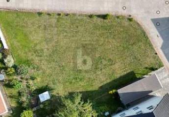 454256-Vorschaubild2