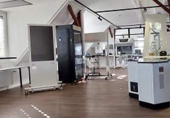 453895-Vorschaubild4