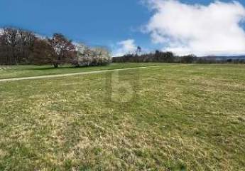 456901-Vorschaubild3