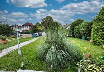 456459-Vorschaubild3