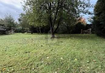 456461-Vorschaubild2