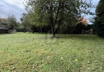 456461-Vorschaubild3