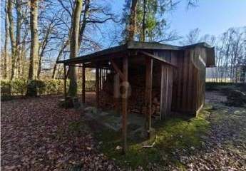 453830-Vorschaubild2