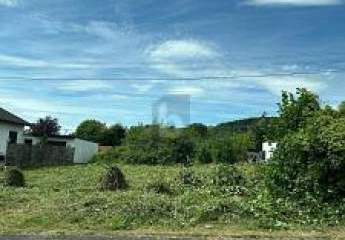 451427-Vorschaubild2