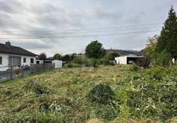 451427-Vorschaubild3