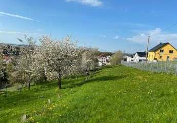 456778-Vorschaubild2