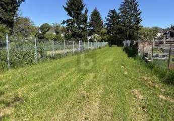 457195-Vorschaubild2