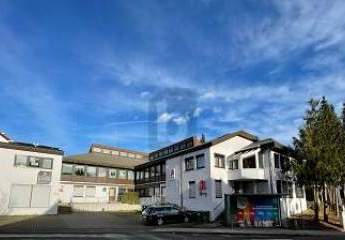 453481-Vorschaubild3