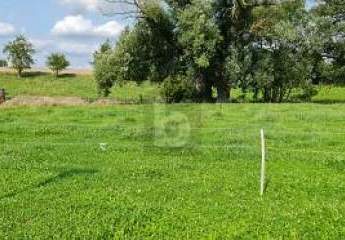 452771-Vorschaubild2