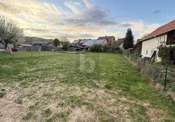 453298-Vorschaubild3