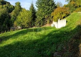 451175-Vorschaubild4