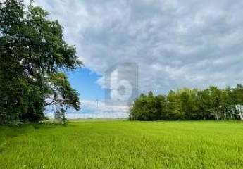 451176-Vorschaubild2