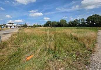 451618-Vorschaubild3