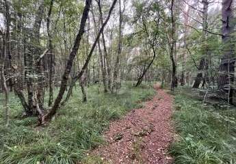 453708-Vorschaubild4