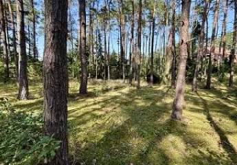 453315-Vorschaubild3