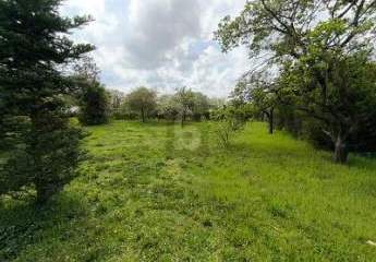 453860-Vorschaubild4