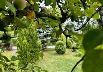 457016-Vorschaubild3