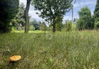 457016-Vorschaubild4