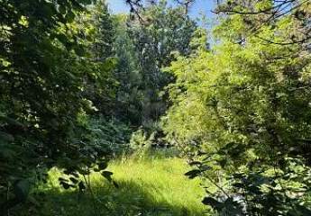 LAGEJUWEL MIT TEICHBLICK AM BERNER GUTSPARK