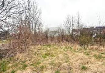 452376-Vorschaubild3