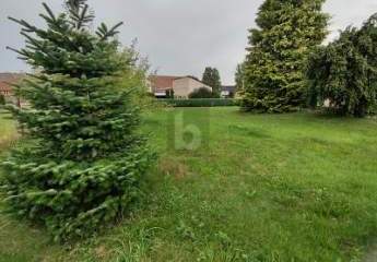 457025-Vorschaubild4