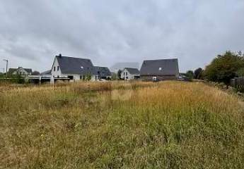 451209-Vorschaubild2