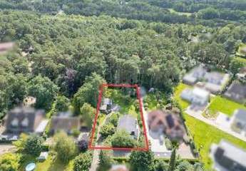 452380-Vorschaubild3