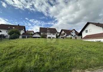 451465-Vorschaubild3