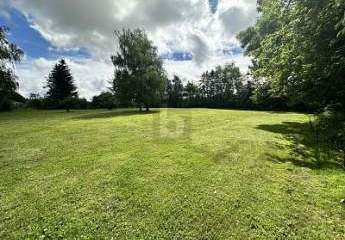 451724-Vorschaubild3